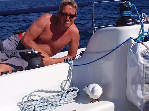 maj 2008 nya Olympusen 751.jpg