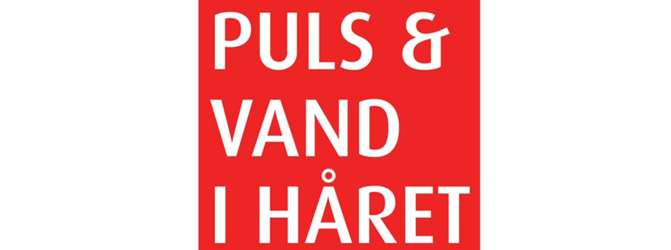 puls-logo2013