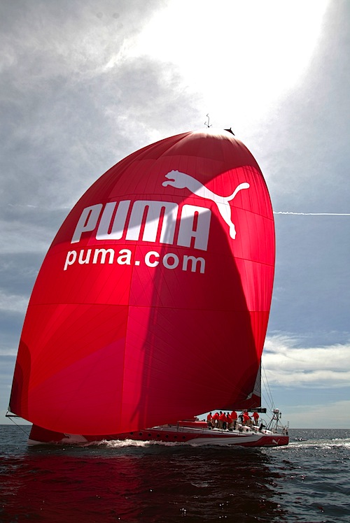 puma_1810.jpg